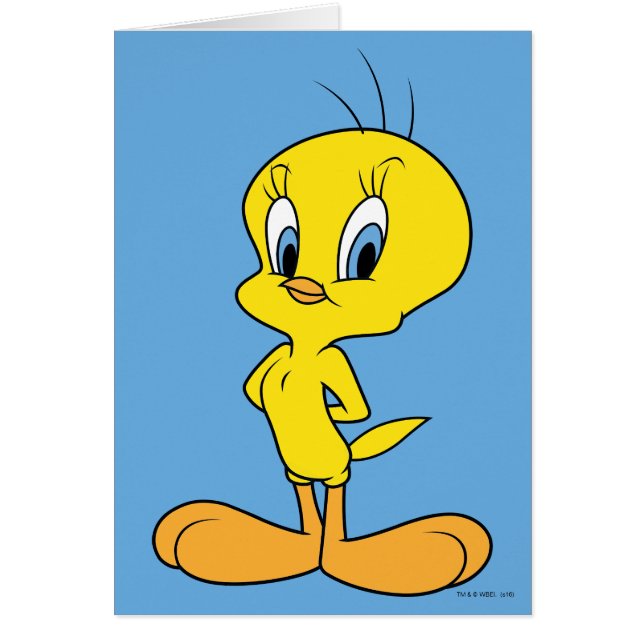 TWEETY™ | Clever Bird (Vorne)