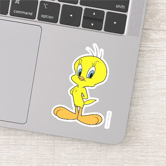 TWEETY™ | Clever Bird Aufkleber (Detail)