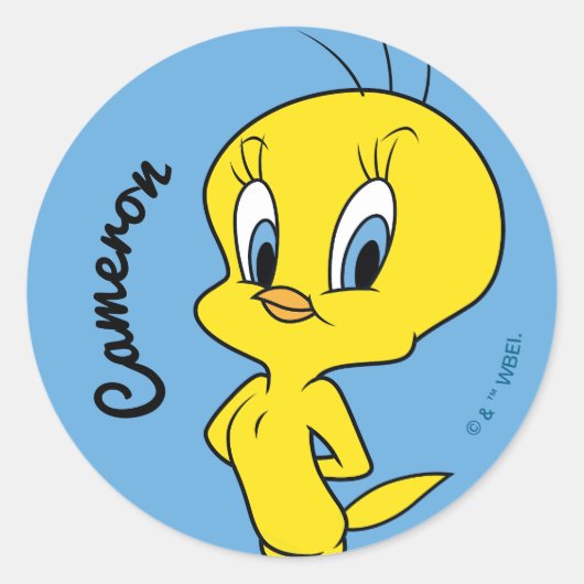 TWEETY™ | Clever Bird Runder Aufkleber (Vorderseite)