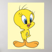 Tweety Haha Poster (Vorne)