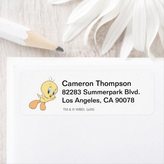 Tweety in the Clouds Pose 15 (Insitu)