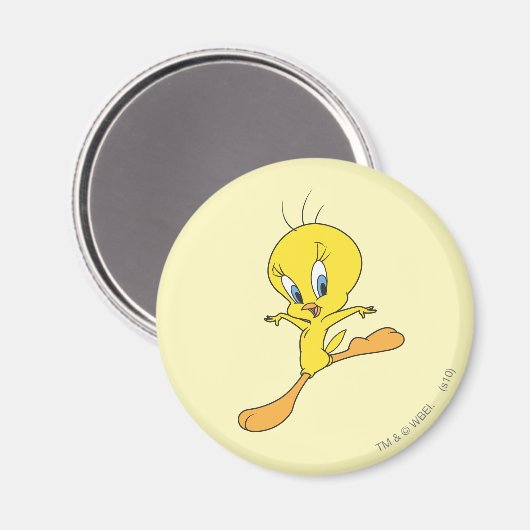 TWEETY™ Landing Magnet (Vorderseite/Rückseite)