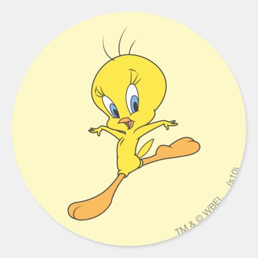 TWEETY™ Landing Runder Aufkleber (Vorderseite)