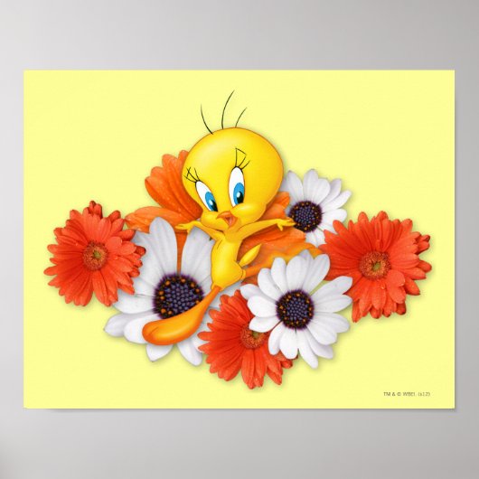 Tweety mit Gänseblümchen Poster (Vorne)