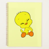 Tweety Planer (Vorderseite)
