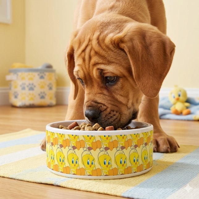 Tweety-Schüssel Napf (Von Creator hochgeladen)