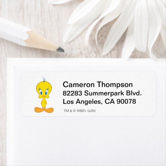 TWEETY™ | Unschuldiger kleiner Vogel (Insitu)