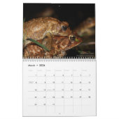 Twelve Months of Toads: 2022 Calendar Kalender (Mär 2026)