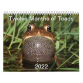 Twelve Months of Toads: 2022 Calendar Kalender (Titelbild)