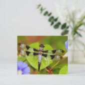 Twelve-spotted Skimmer Postkarte (Stehend Vorderseite)