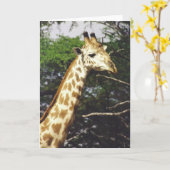 Twiga Masai (Masai-Giraffe) Karte (Gelbe Blume)