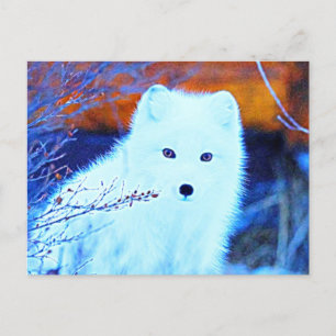 *~* Twigs AP18 Snow Fox Weißer Polar Fox Postkarte