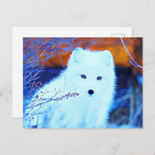 *~* Twigs AP18 Snow Fox Weißer Polar Fox Postkarte (Vorne/Hinten)