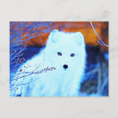 *~* Twigs AP18 Snow Fox Weißer Polar Fox Postkarte (Vorderseite)