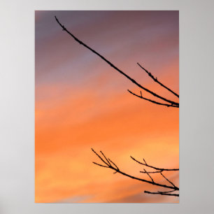 Twigs gegen den Sonnenuntergang Poster