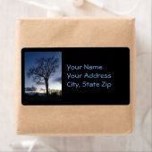 Twilight auf dem Baum in den Winteradressen (Insitu)