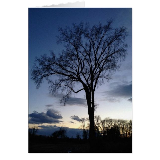 Twilight auf den Baum im Winter Gruß/Mitteilungska (Vorne)