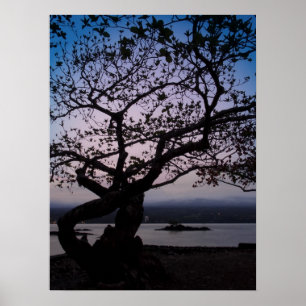 TWILIGHT auf HILO BAY HAWAII Poster