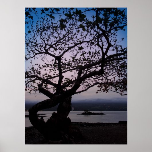 TWILIGHT auf HILO BAY HAWAII Poster (Vorne)