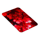 Twilight Cherry Blossom Glow Magnet (Rechte Seite)
