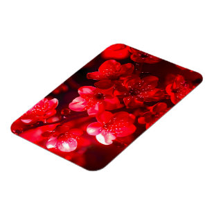 Twilight Cherry Blossom Glow Magnet