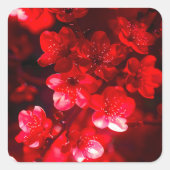 Twilight Cherry Blossom Glow Quadratischer Aufkleber (Vorderseite)