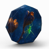 Twilight Dream Foto Block (Links)