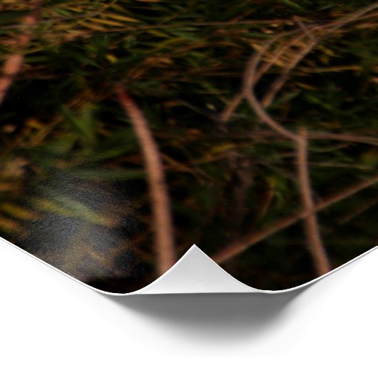 Twilight Egret Poster (Ecke)