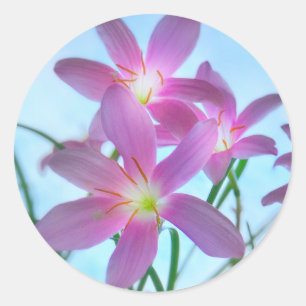 Twilight Fairy Lilies Umschlag Aufkleber Stickers