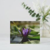 Twilight Lotus Serenity Postkarte (Stehend Vorderseite)