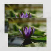 Twilight Lotus Serenity Postkarte (Vorne/Hinten)