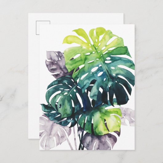 Twilight Palms - Split Leaf Postkarte (Vorne/Hinten)