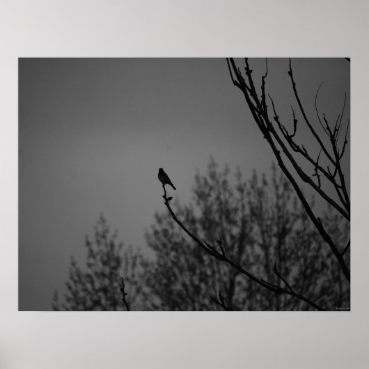 Twilight Poster (Vorne)