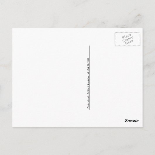 Twilight Postkarte (Rückseite)