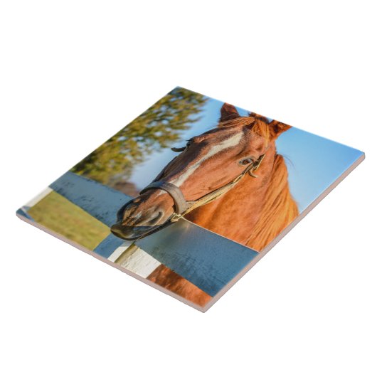 Twilight-Rose | Reitpferd Fliese (Seite)