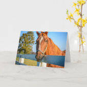 Twilight-Rose | Reitpferd Karte (Gelbe Blume)