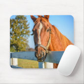 Twilight-Rose | Reitpferd Mousepad (Mit Mouse)