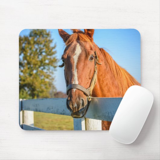 Twilight-Rose | Reitpferd Mousepad (Mit Mouse)