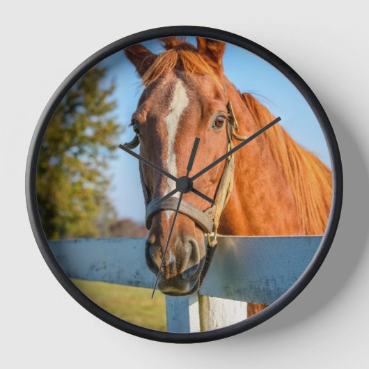 Twilight-Rose | Reitpferd Uhr (Vorderseite)