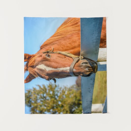 Twilight-Rose | Reitpferd Wandteppich (Vorderseite)