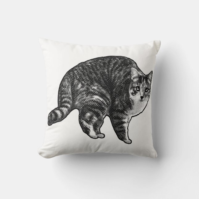 Twilight Tabby Watch Kissen (Vorderseite)
