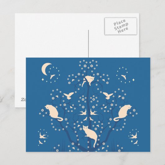 Twilight Tomcats Postkarte (Vorne/Hinten)