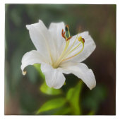 Twilight Weiße Lilie Fliese (Vorderseite)