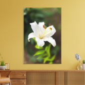 Twilight Weiße Lilie Leinwanddruck (Insitu (Wohnzimmer))