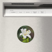 Twilight Weiße Lilie Magnet (In Situ (Geschirrspüler))
