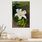 Twilight Weiße Lilie Poster (Küche)