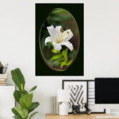 Twilight Weiße Lilie Poster (Heimbüro)