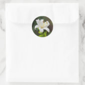 Twilight Weiße Lilie Runder Aufkleber (Tasche)