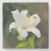 Twilight Weiße Lilie Steinuntersetzer (Vorderseite)