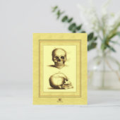 Twin Antique Skulls Postkarte (Stehend Vorderseite)